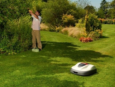 jakie warunki powinien spełniać ogród, aby można w nim było włączyć robota koszącego 